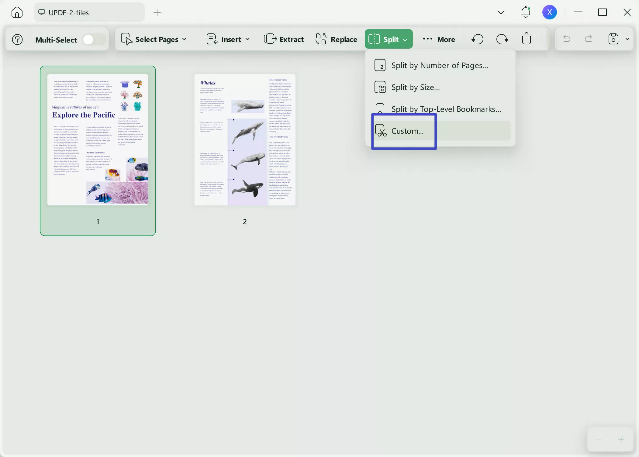 split pdf by size split