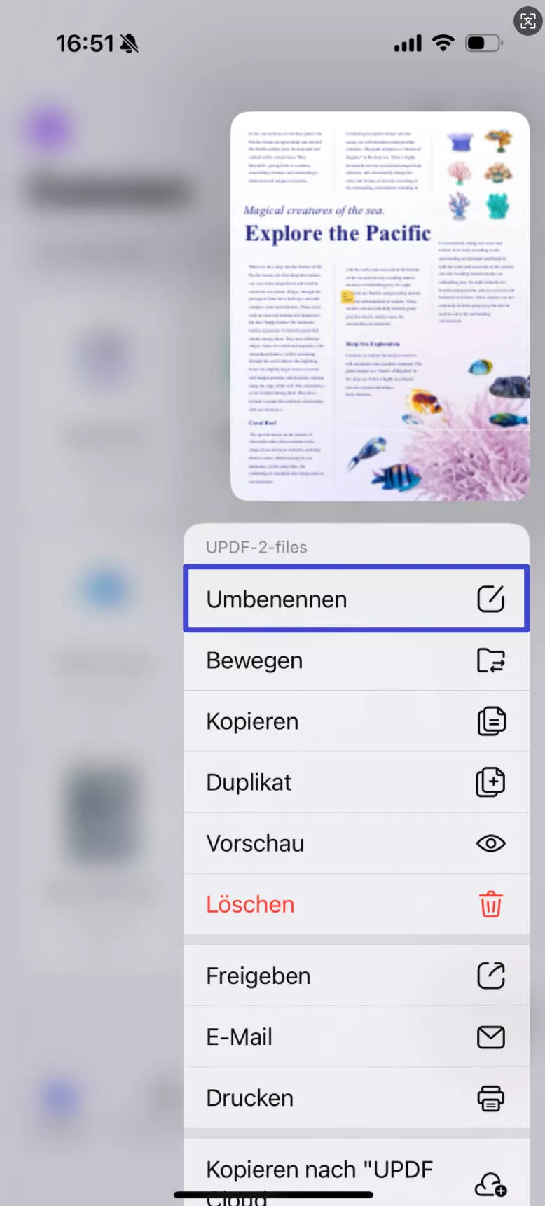 PDF umbenennen PDFs auf iOS umbenennen.