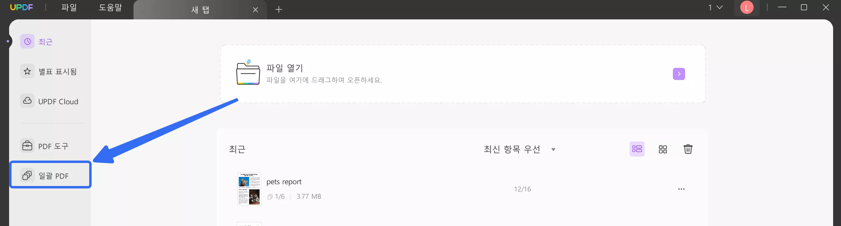 일괄 PDF