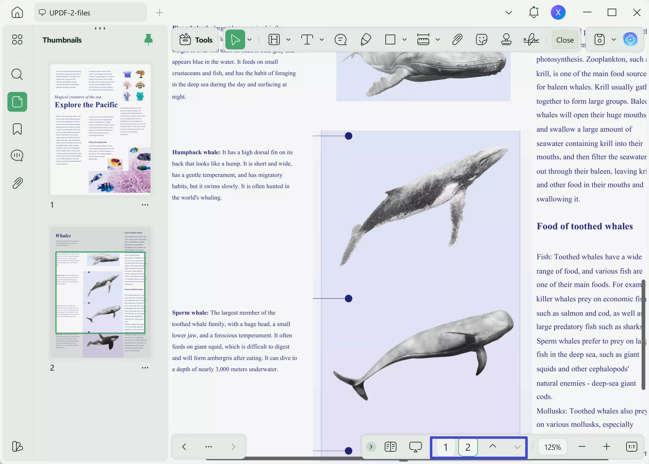 page counter pdf updf