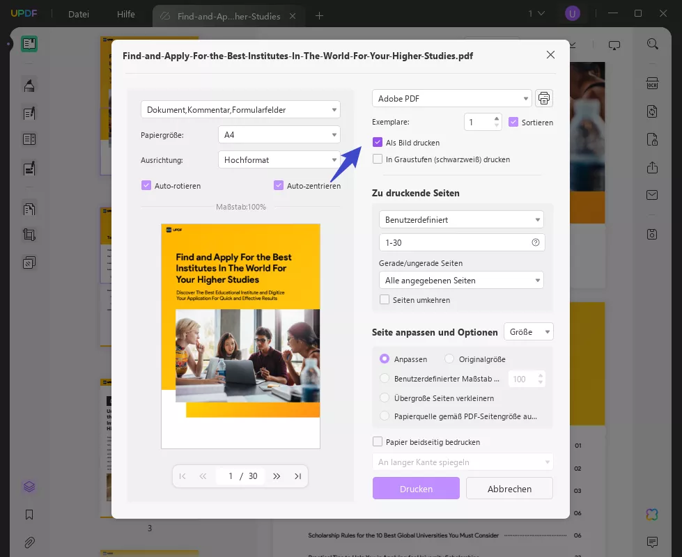 PDF als Bild drucken