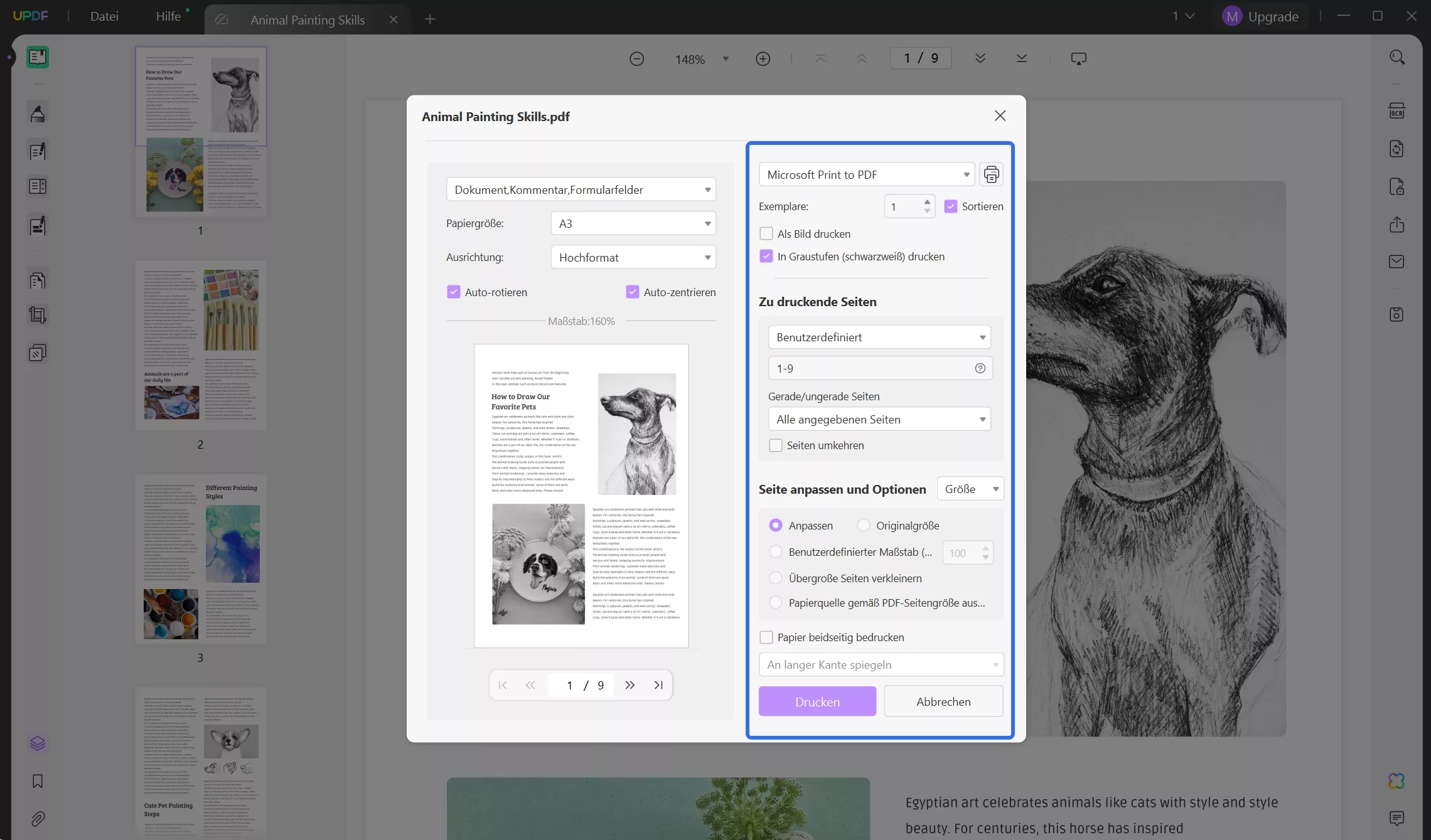 A4 bis A3 Druckeinstellungen