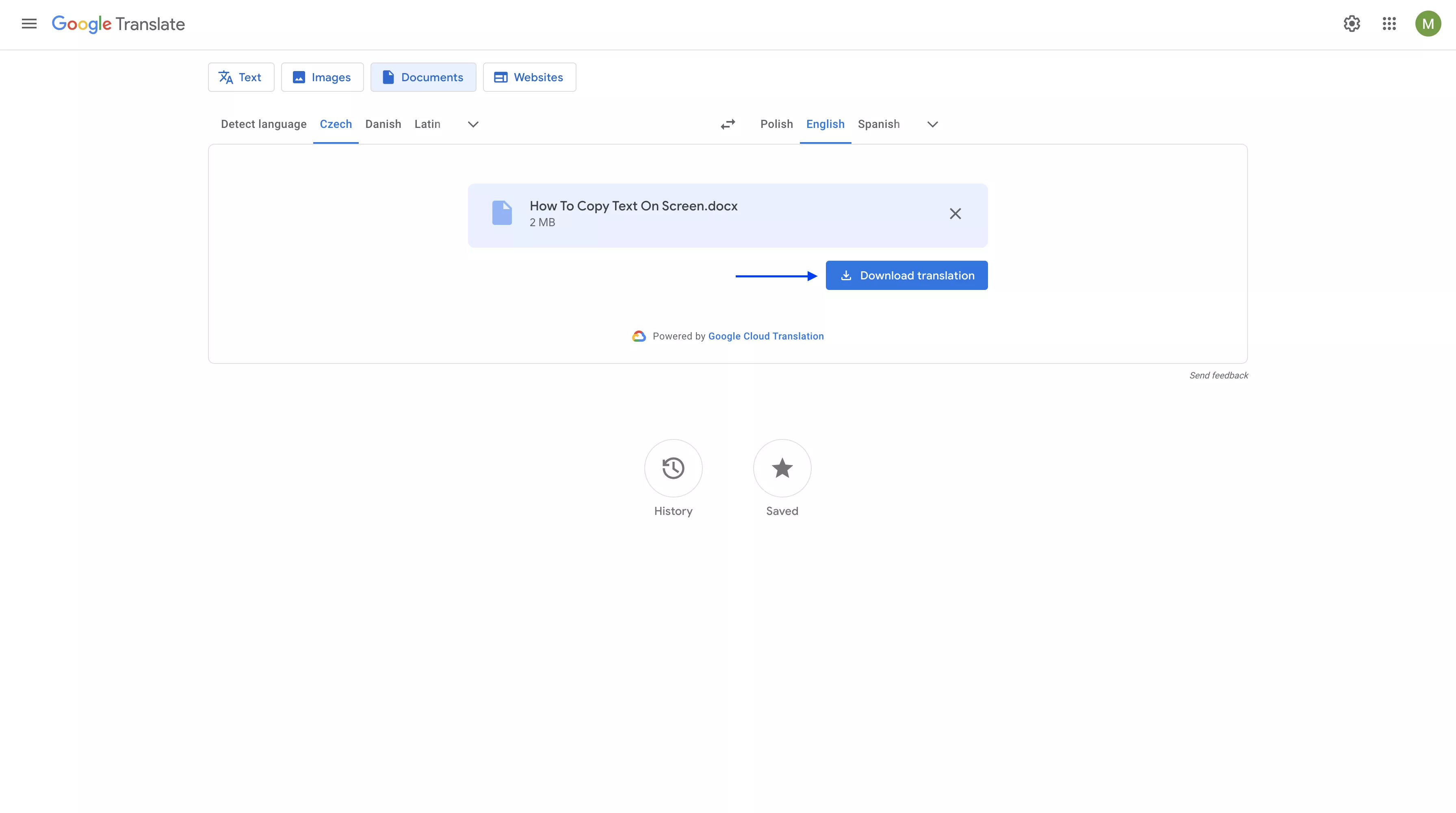click on “download translation” in google translate