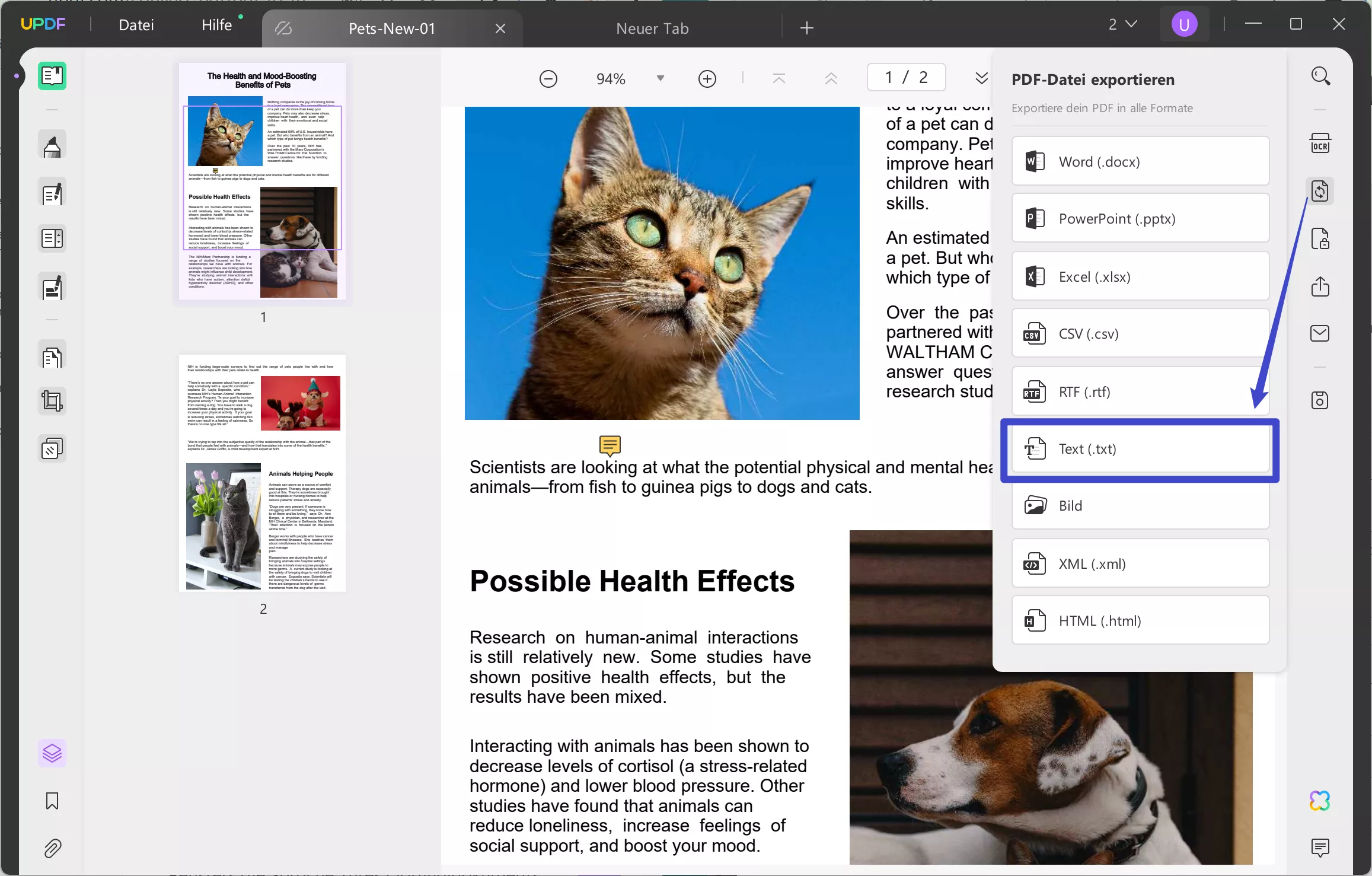 PDF in Text umwandeln