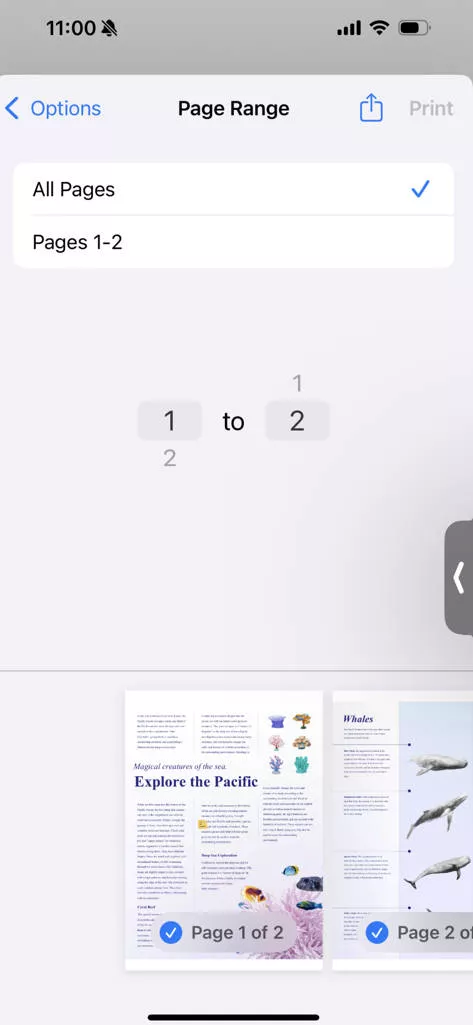 Select page range to print in UPDF for ios