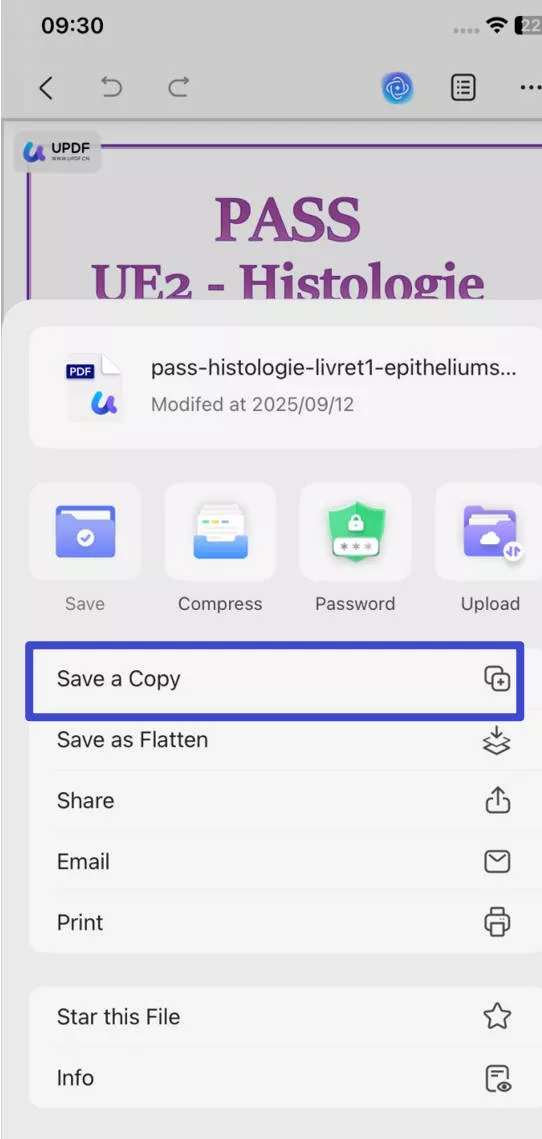 save the pdf with updf for ios