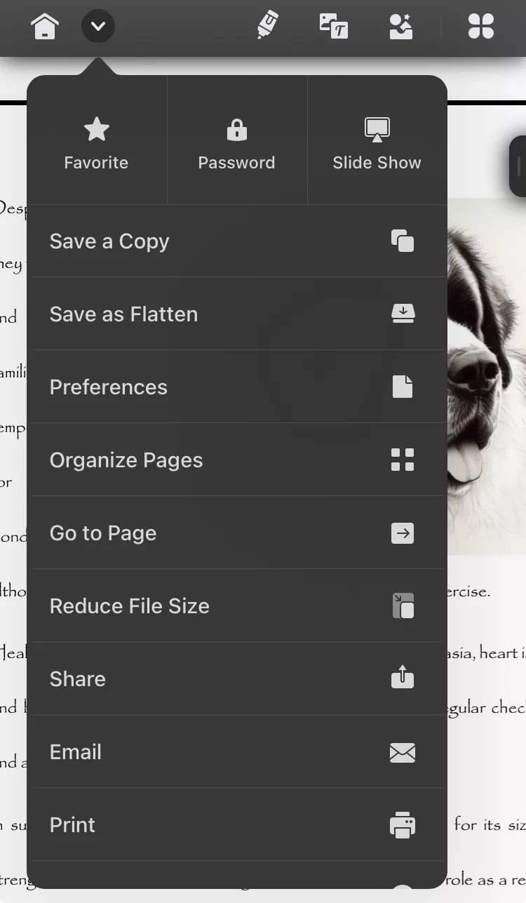 klepněte na ikonu tisku v UPDF pro iOS