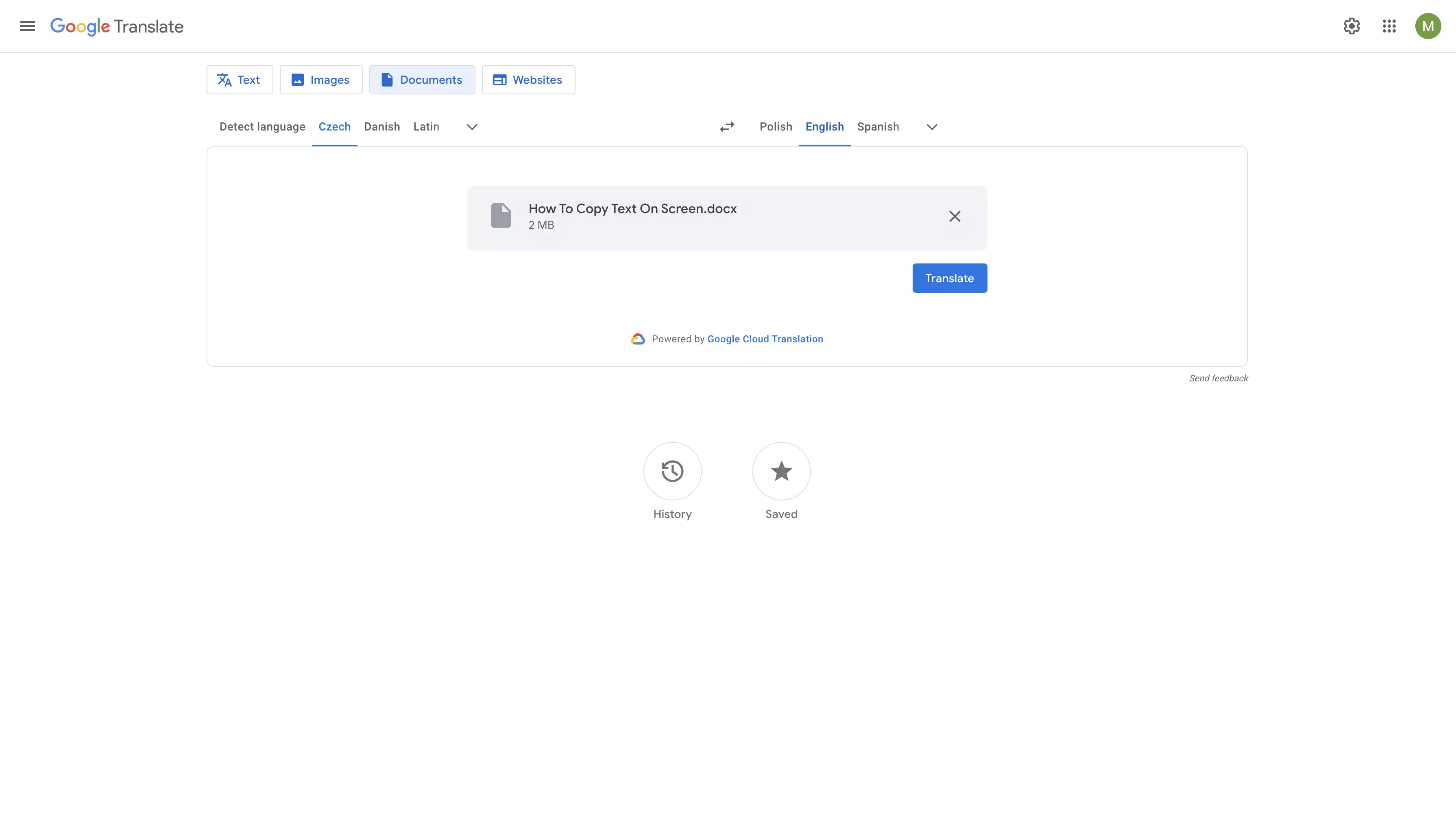 translate the czech pdf to English with google translate