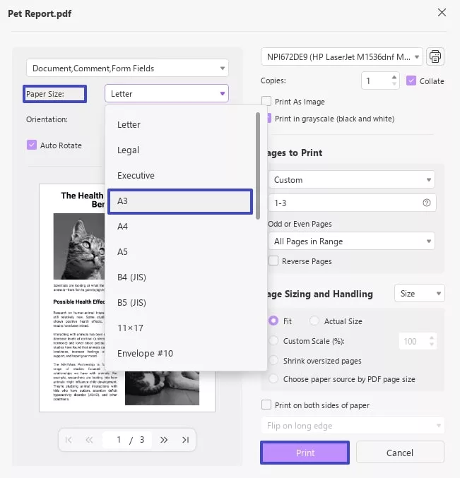 adjust printing parameters to a3 updf