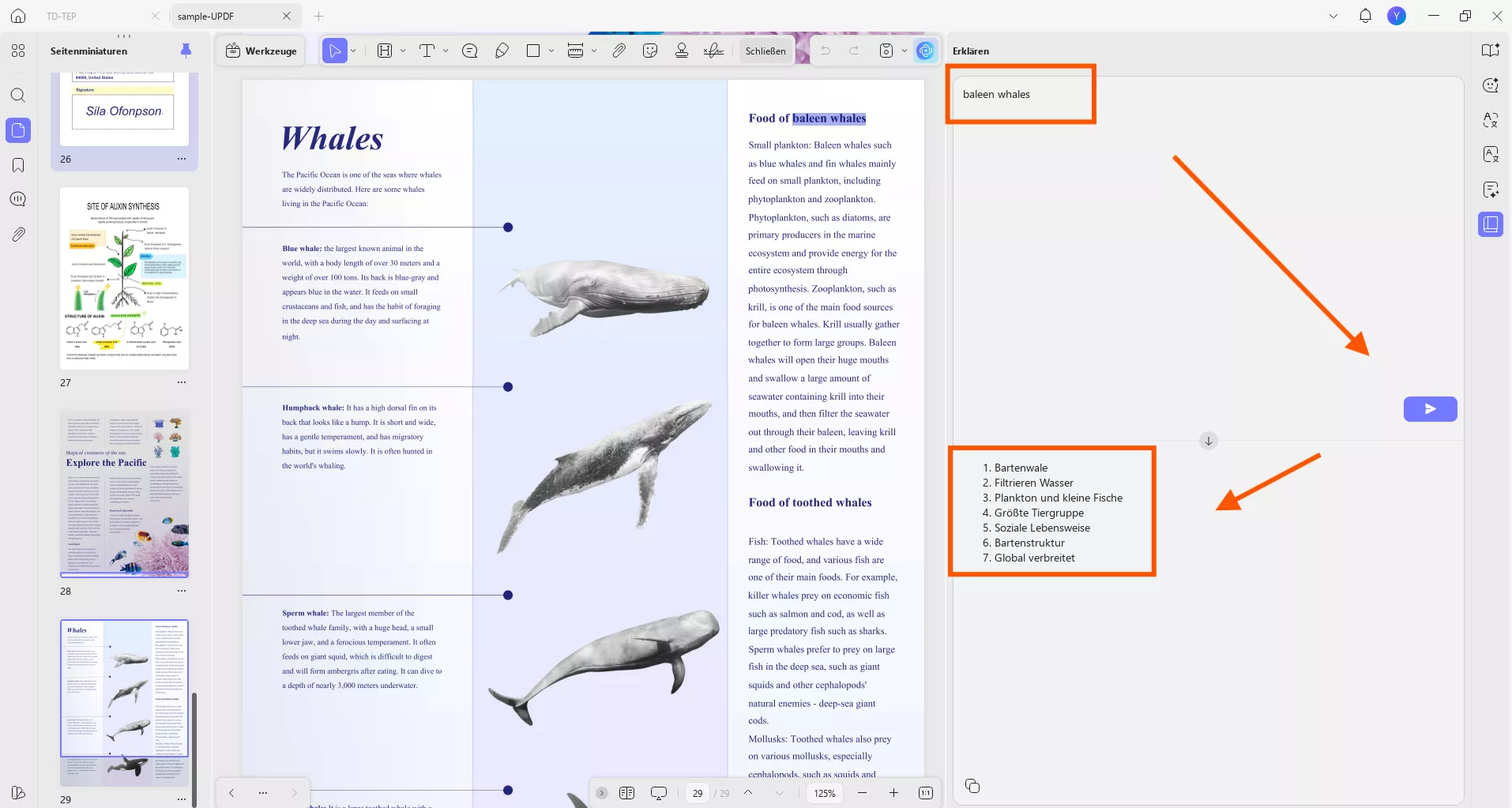 Kopieren und Einfügen zum Erklären