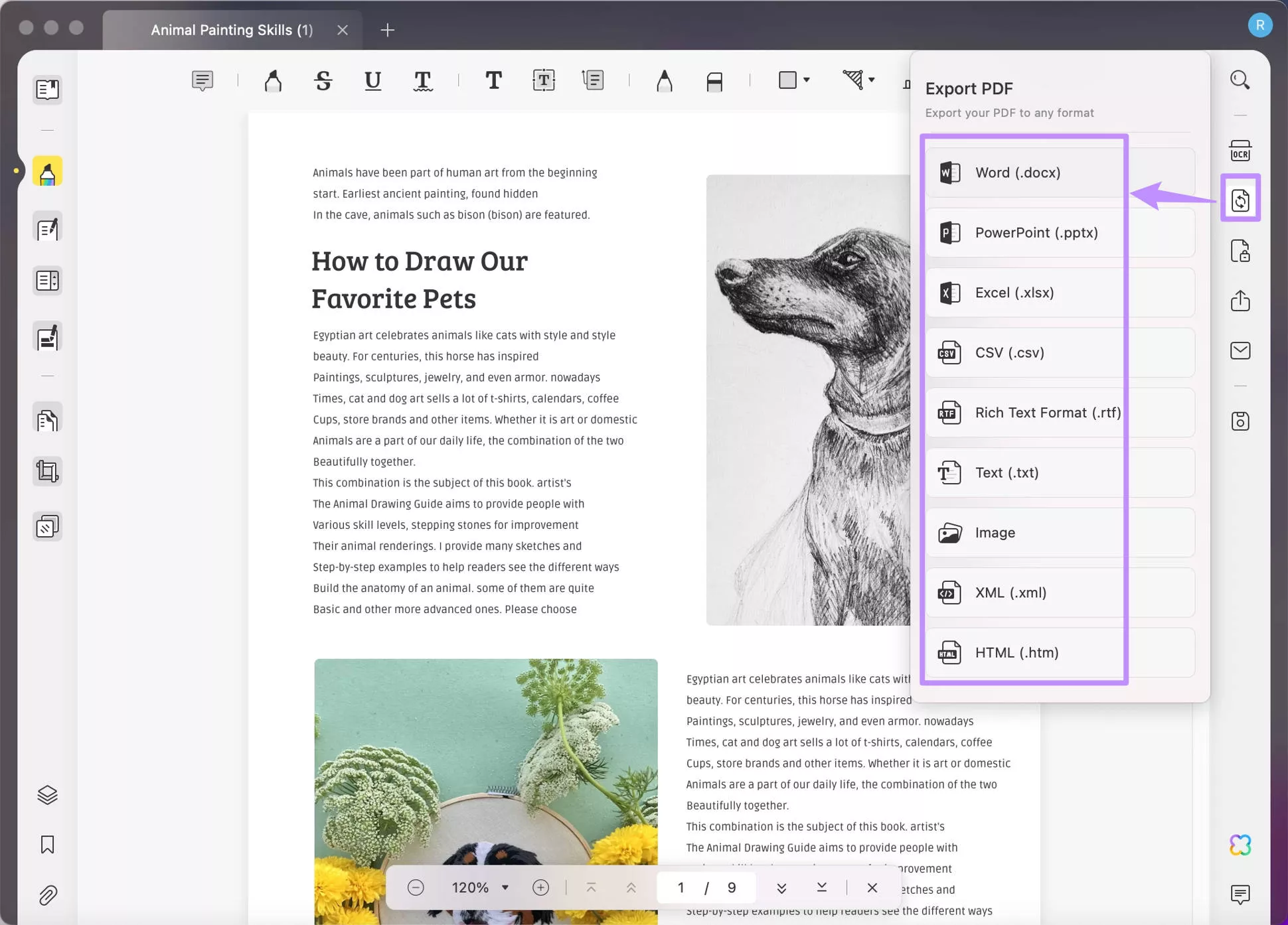 convert PDF to PNG using UPDF Mac