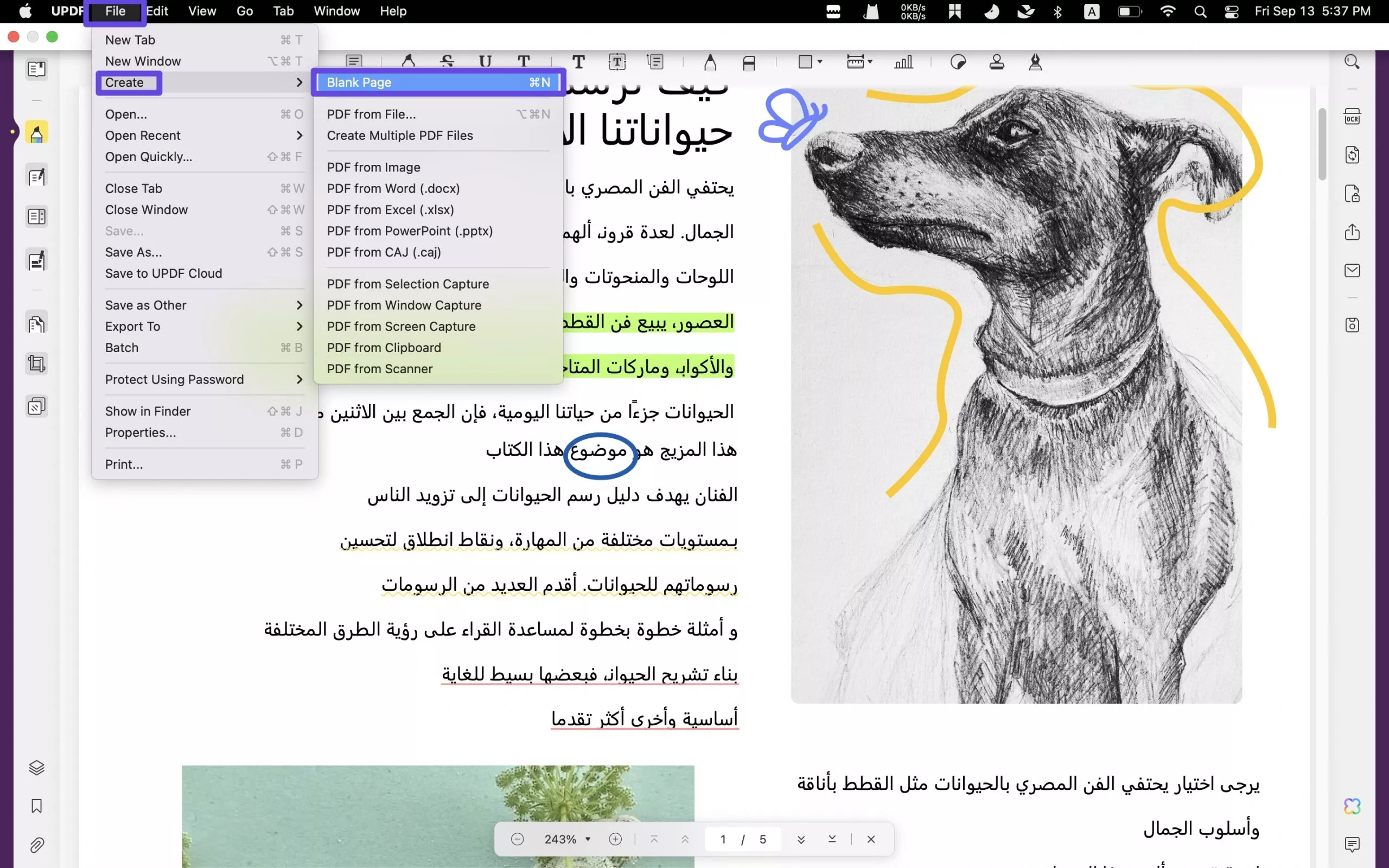 الصفحات الفارغة