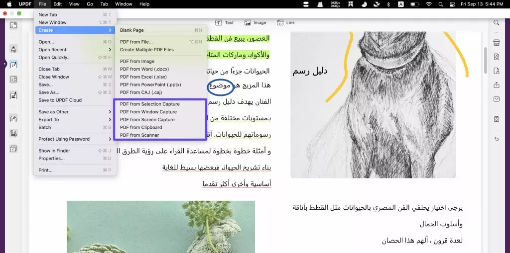 إنشاء pdf