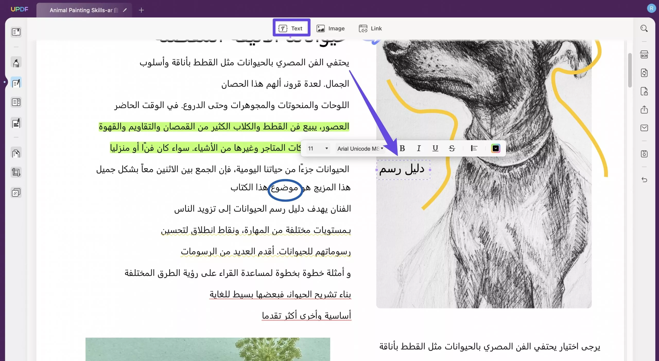 الصفحات الفارغة