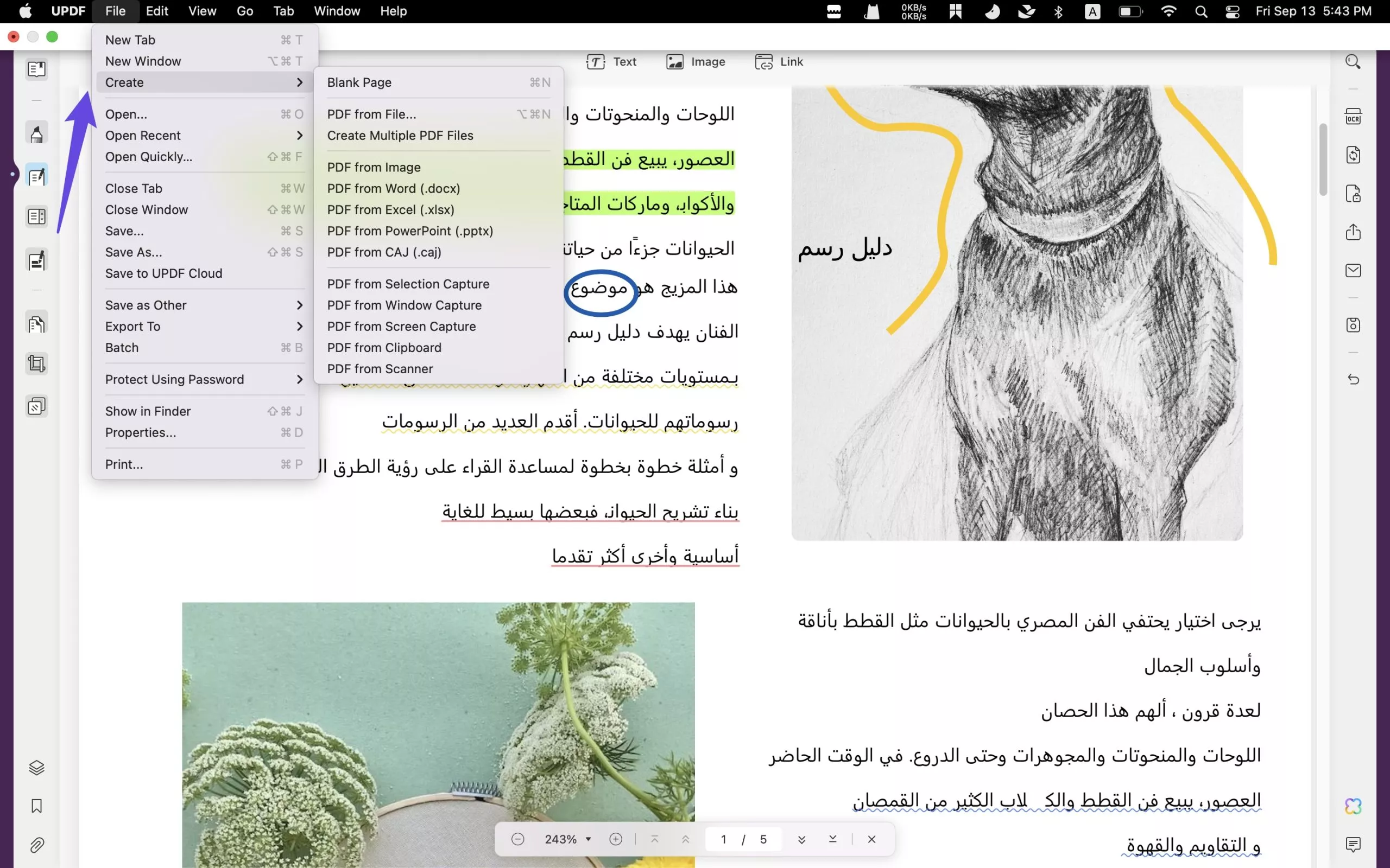 إنشاء pdf