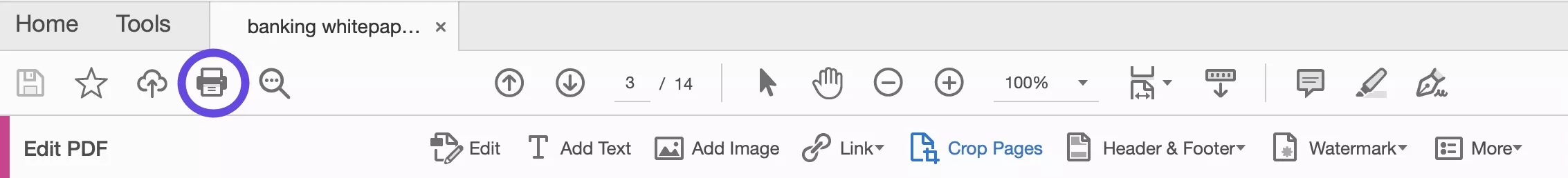print button in adobe