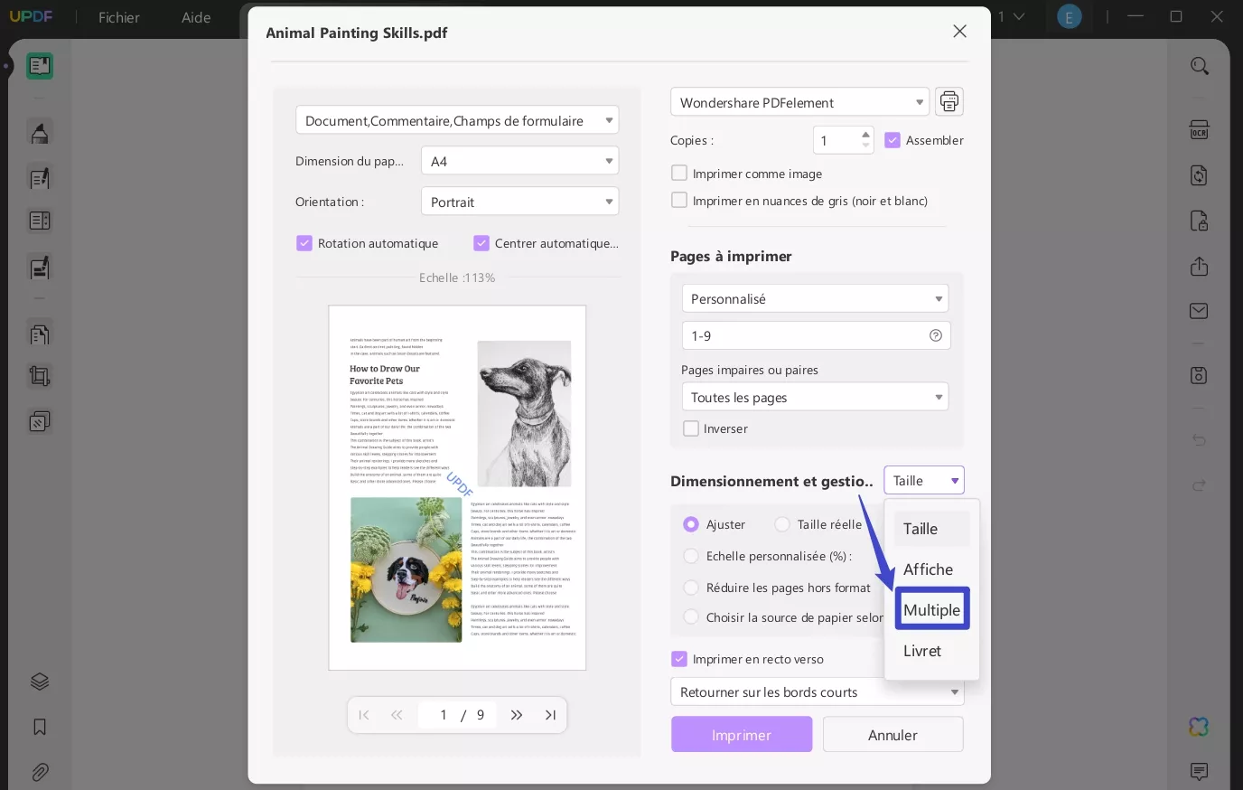 imprimer plusieurs pages sur une feuille pdf
