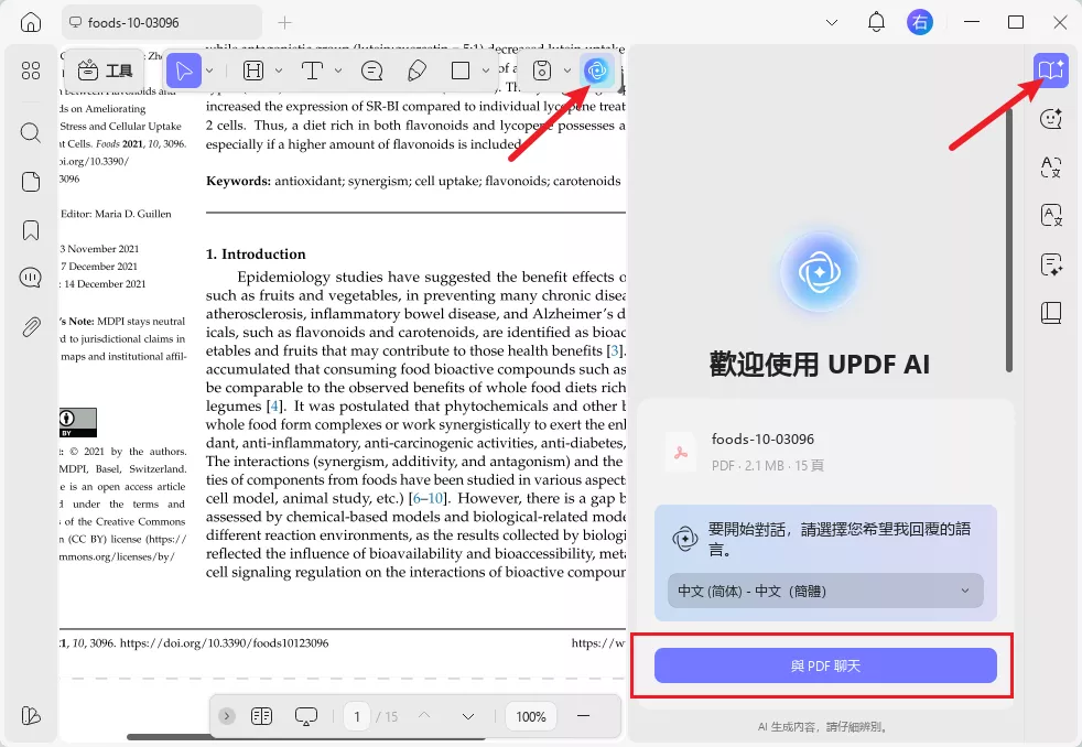 與 PDF 聊天