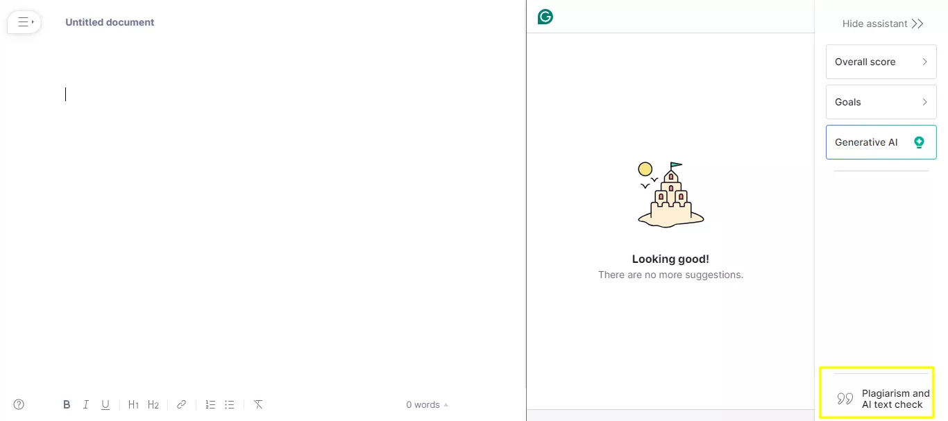 grammarly plagiarism checker.