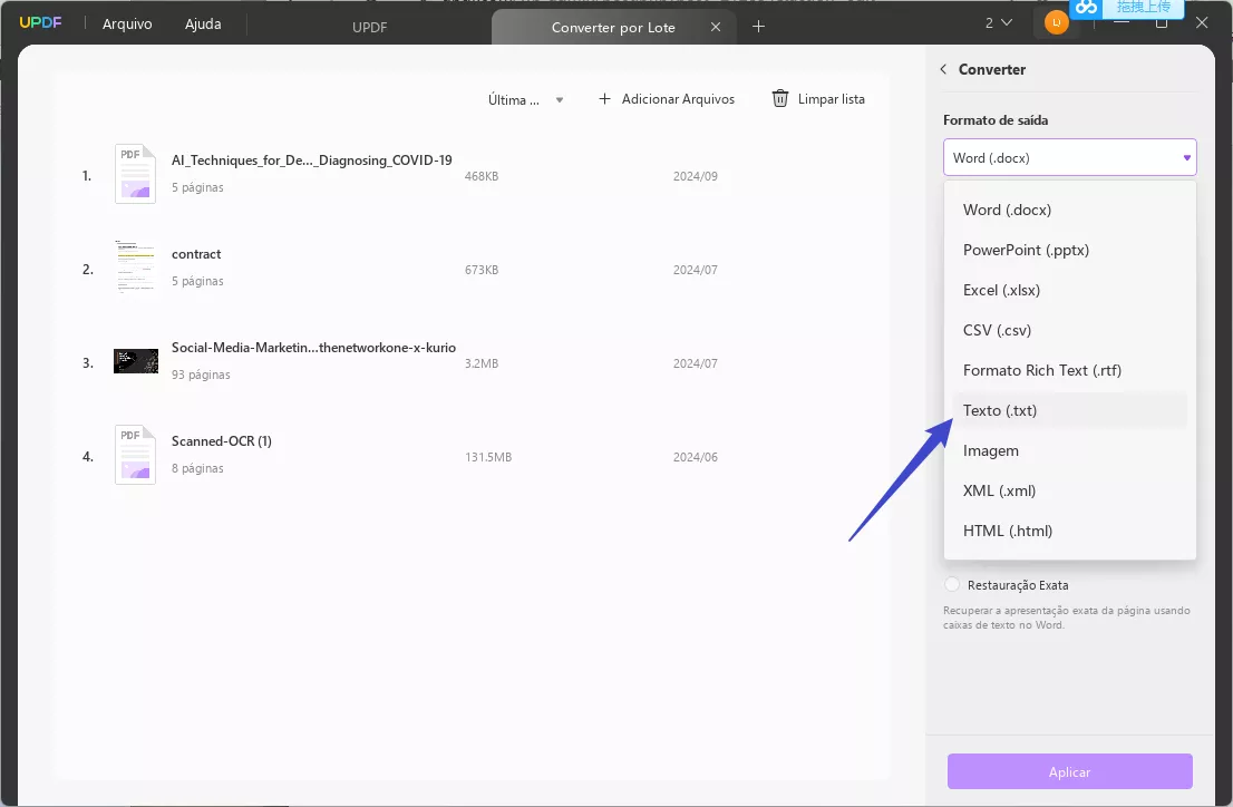 Conversor de PDF para Texto com IA