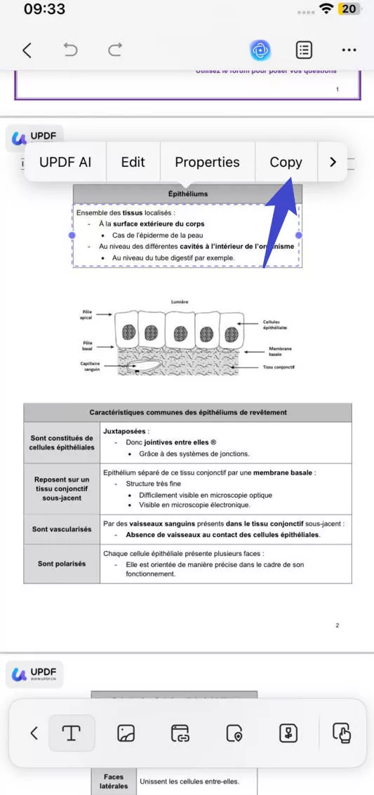 copy the text of the OCRred form