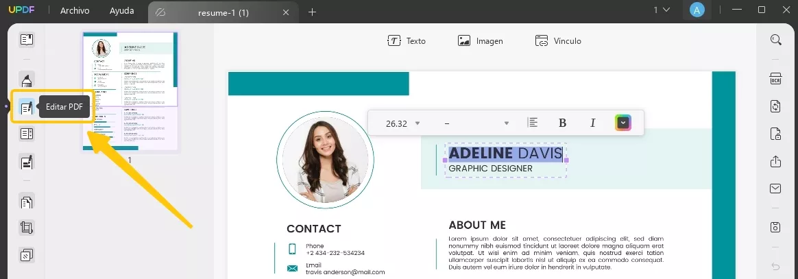 curriculum vitae
