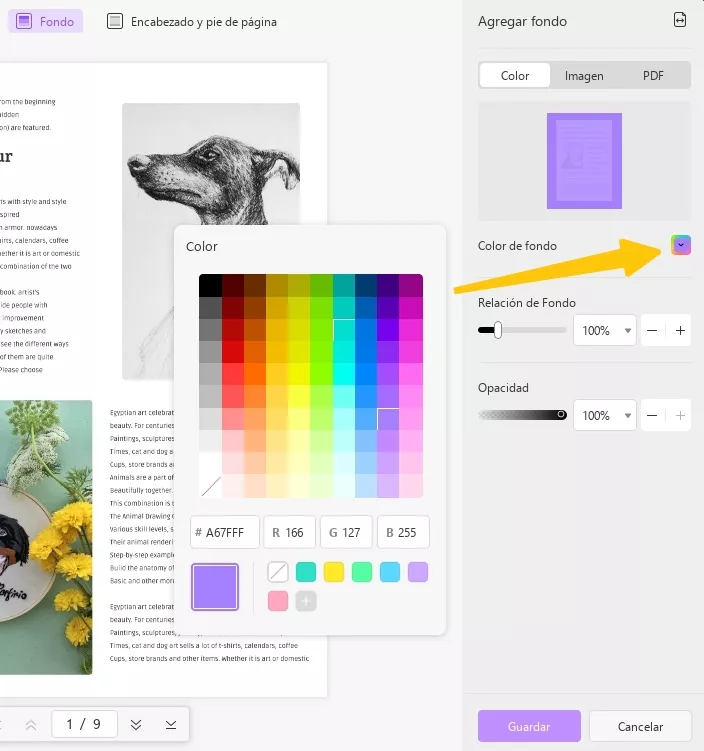 elegir color