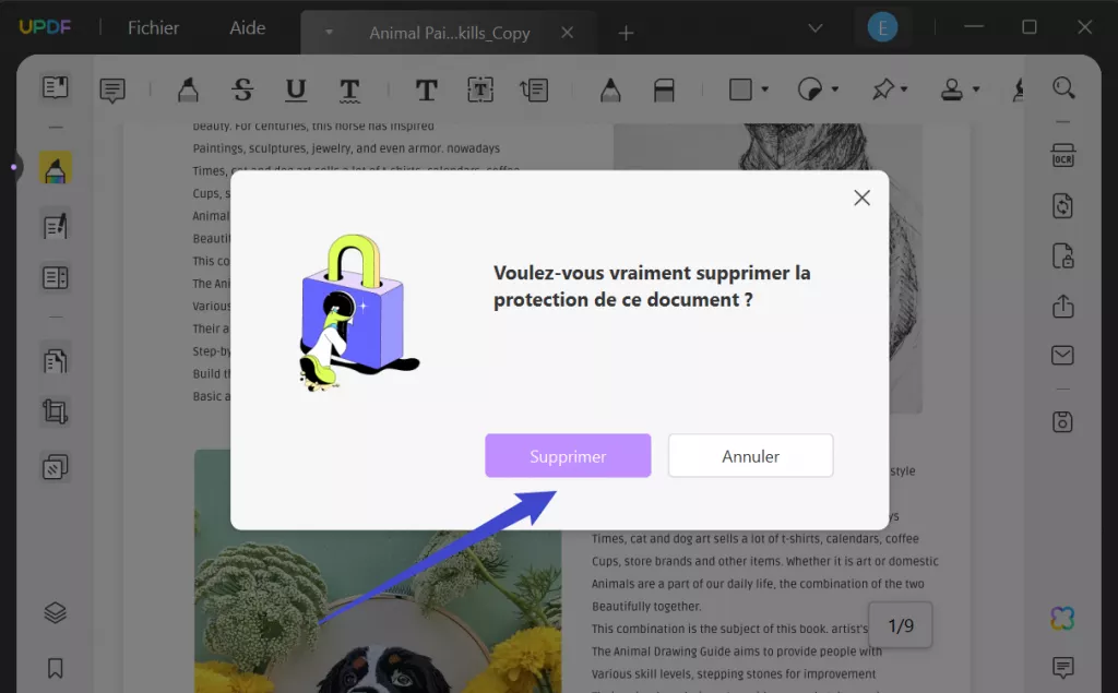 enlever protection pdf