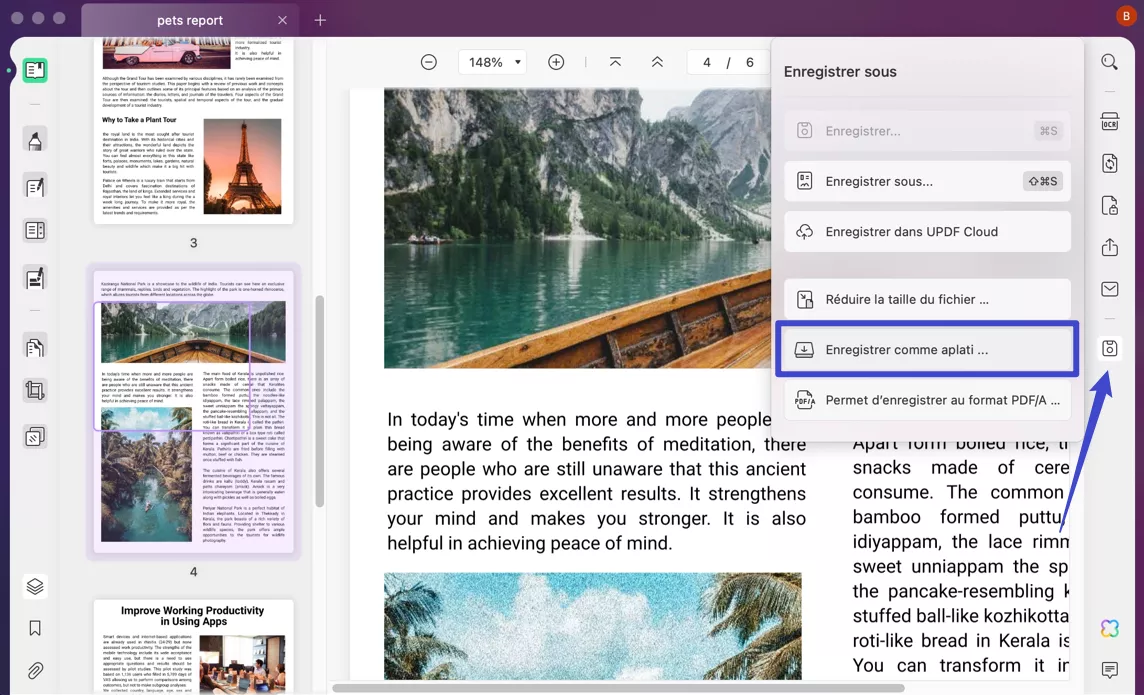 aplatir pdf