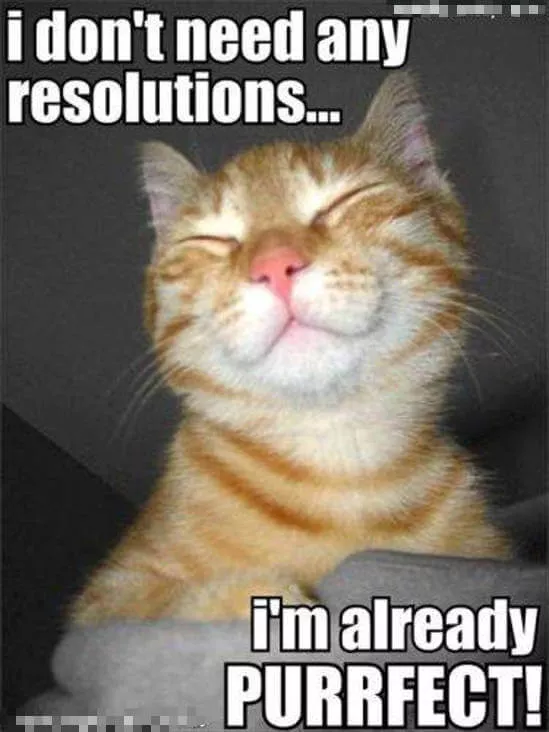 happy new year meme 1