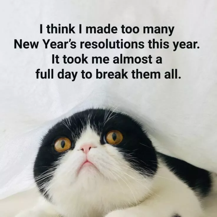 happy new year meme 10