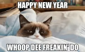 happy new year meme 24
