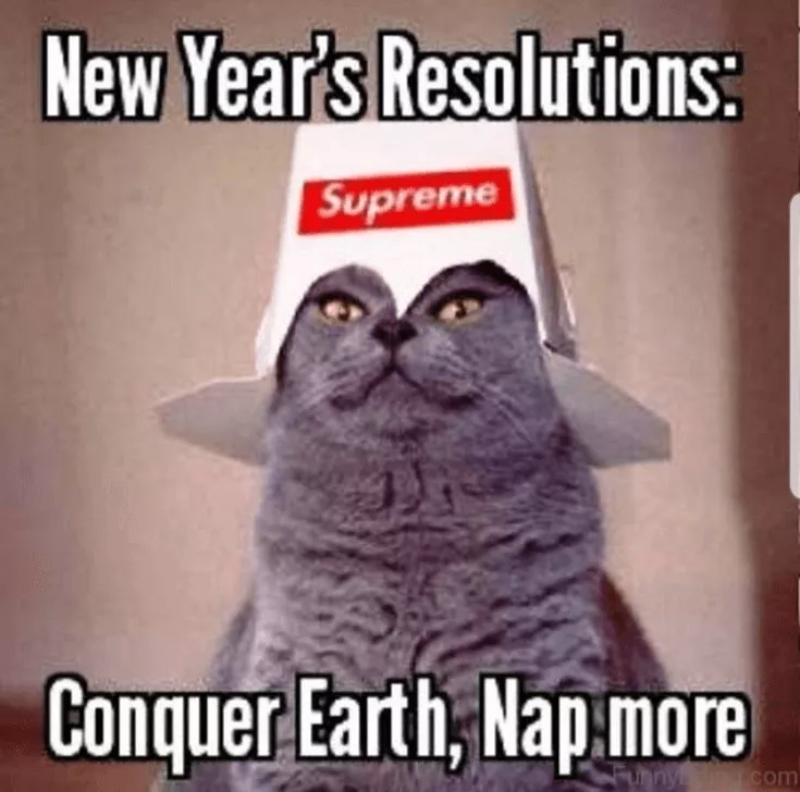 happy new year meme 29