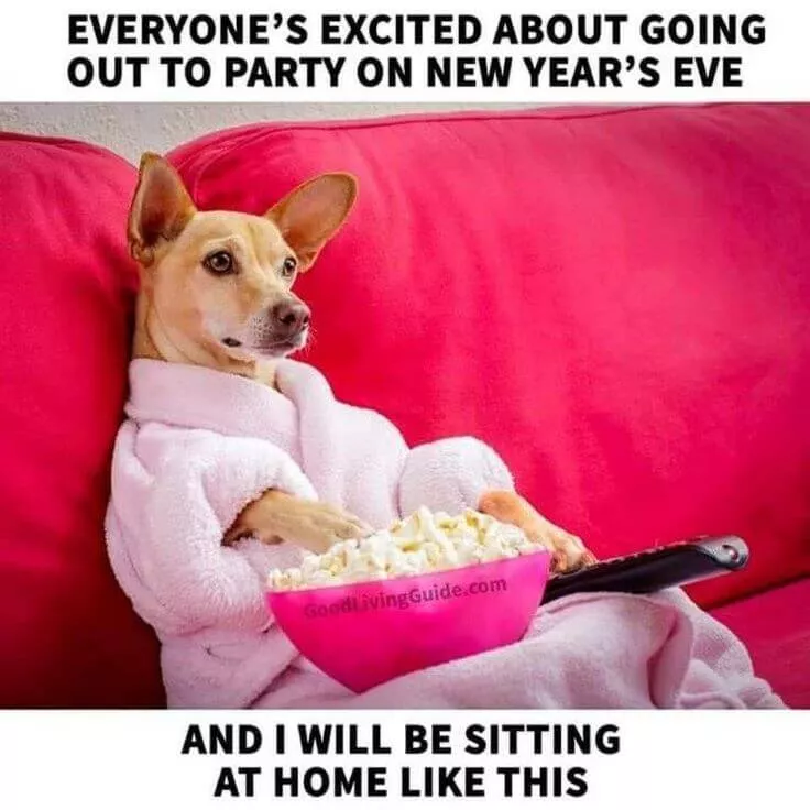 happy new year meme 5