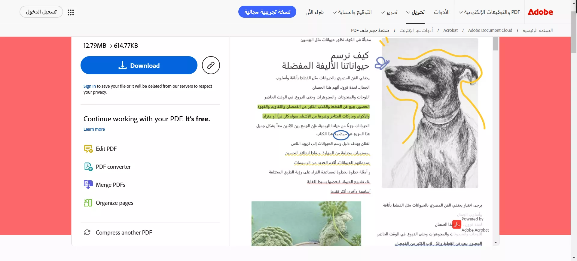 ضغط ملفات PDF للكمبيوتر على ويندوز 10/11 عبر Adobe Acrobat
