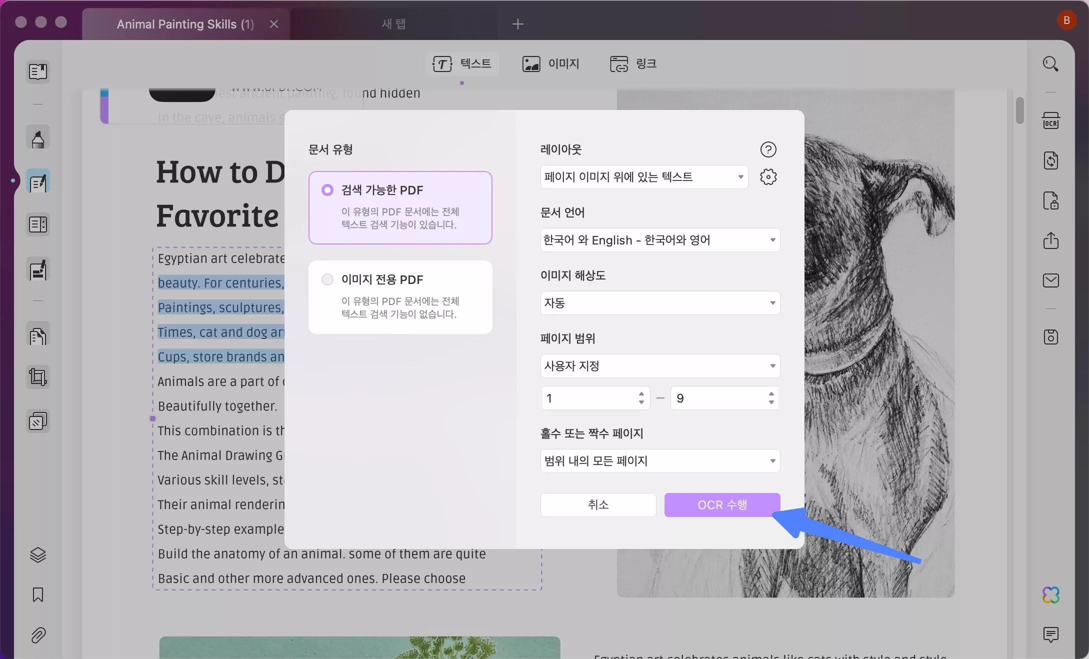 OCR 기능 활성화
