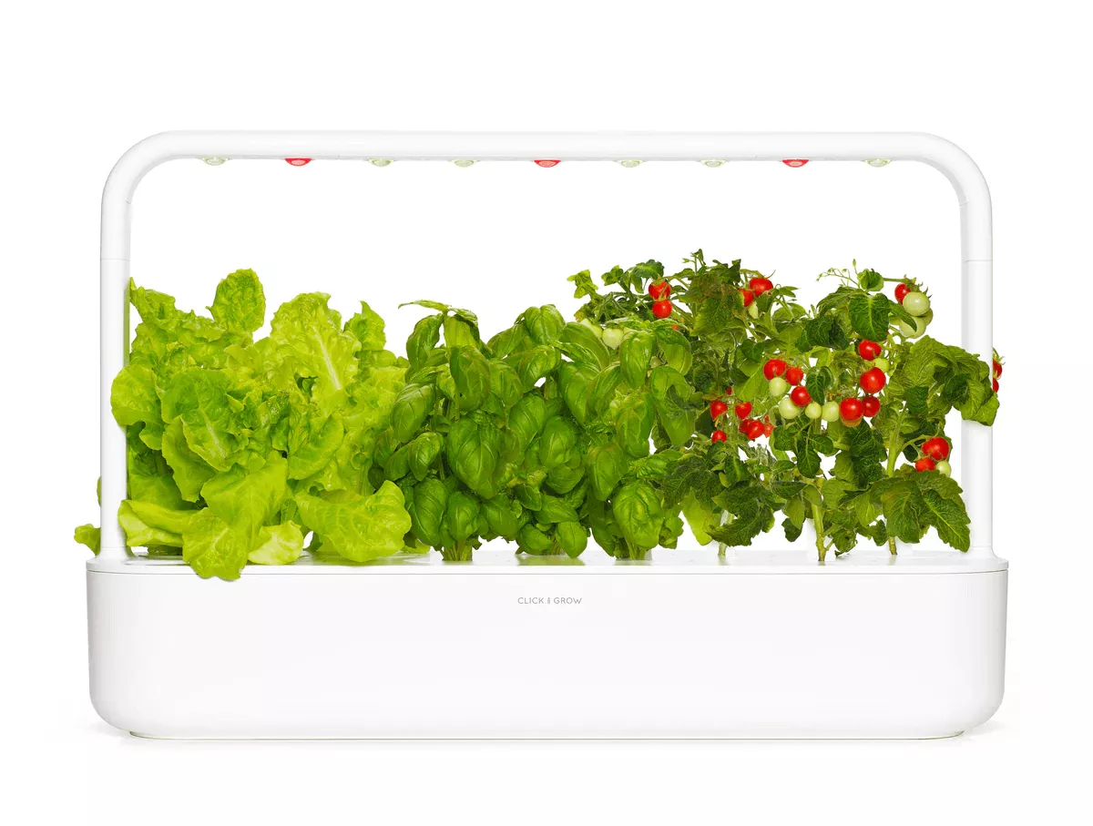 Smart Herb Garden