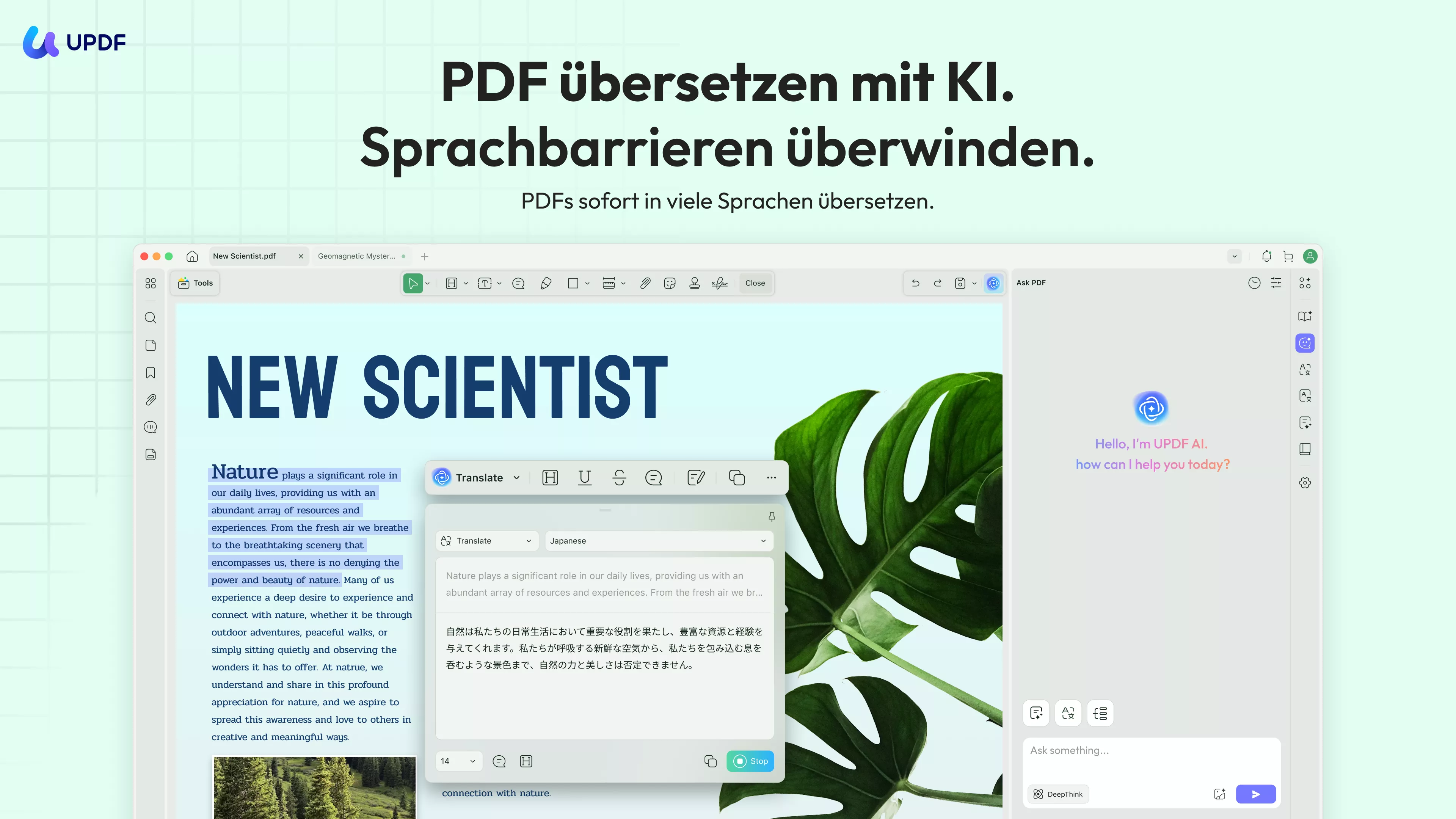 PDF übersetzen