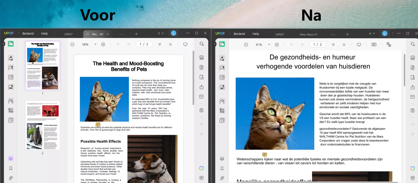 voor en na vertaling