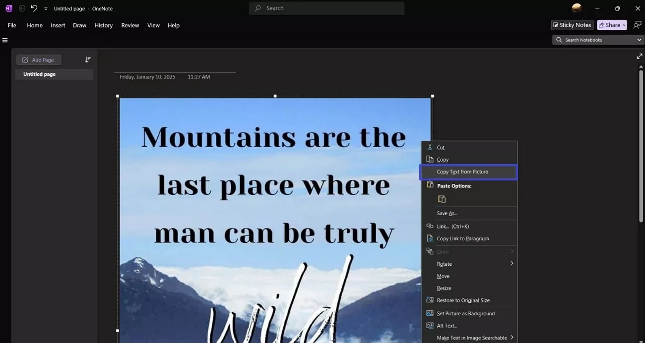 choose copy text from picture