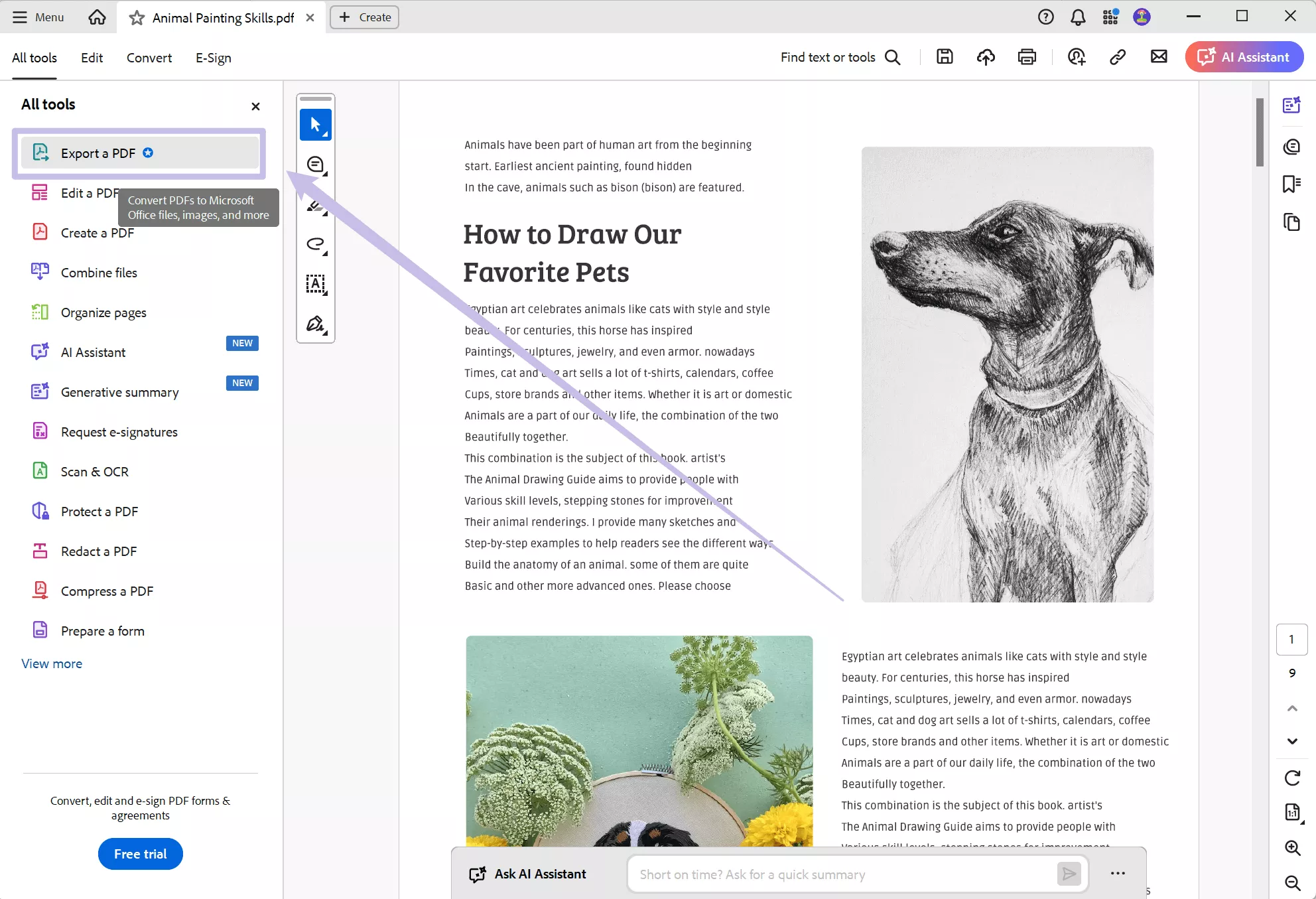 export pdf adobe acrobat