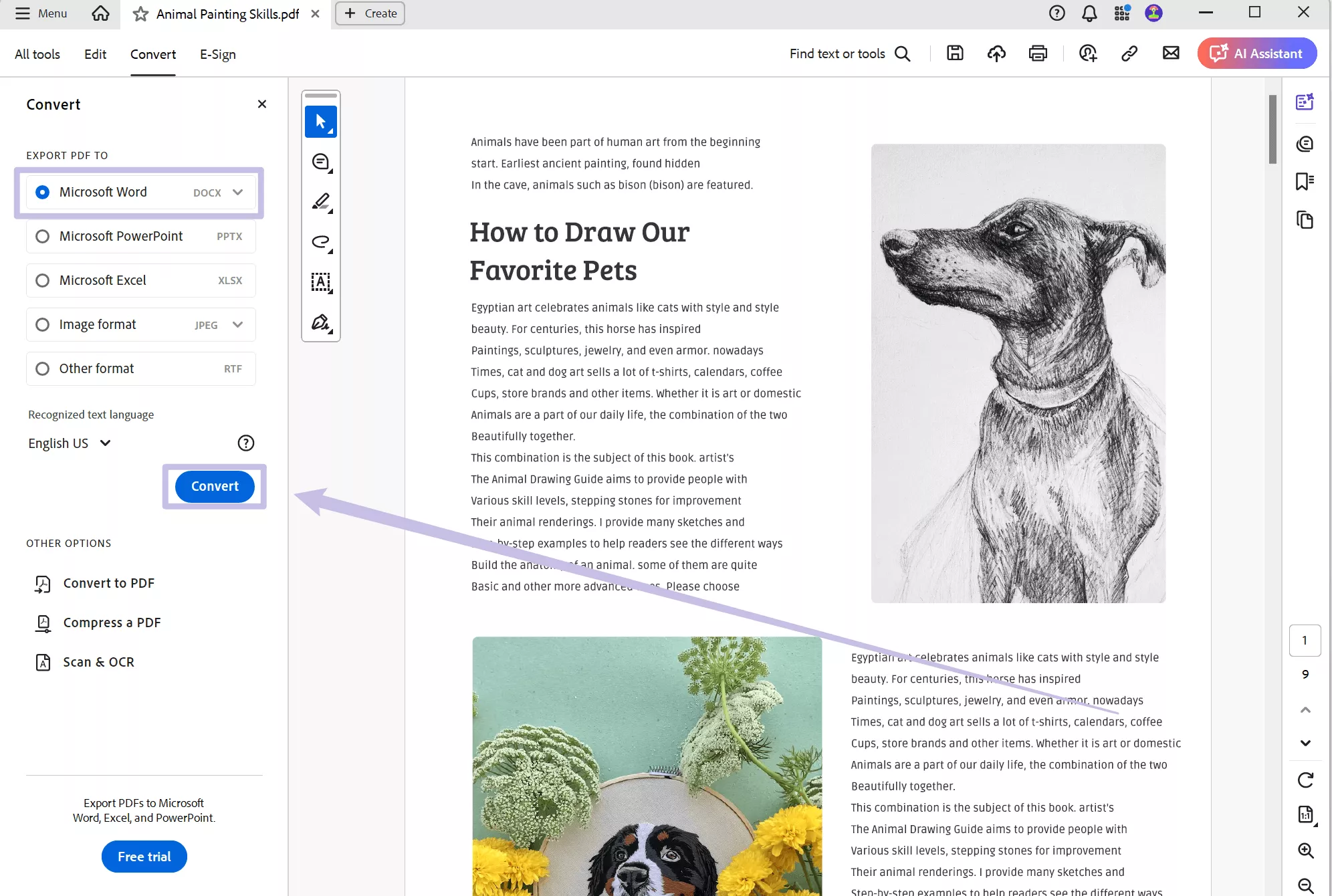 export pdf to word adobe acrobat