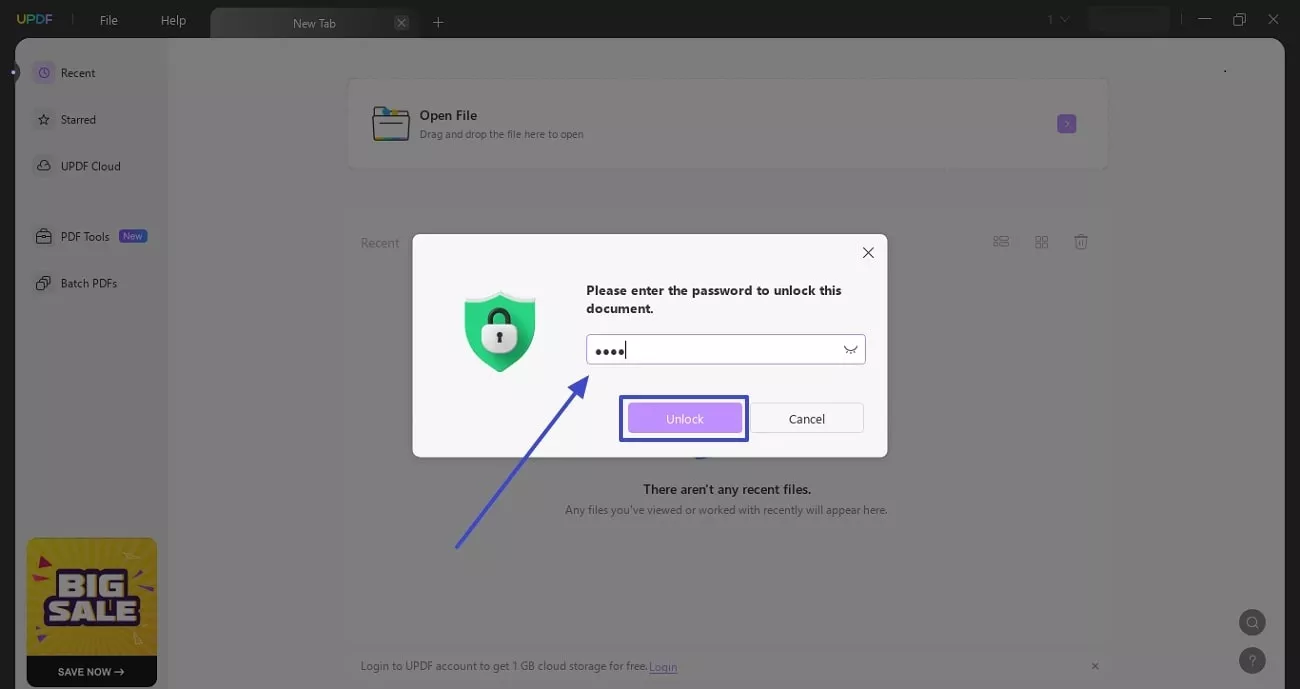 enter password to unlock pdf