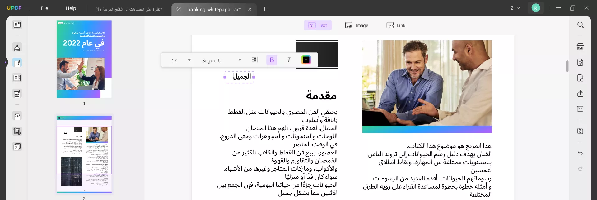 كيفية تغيير حجم الخط في عنصر مربعات النص في ملف PDF
