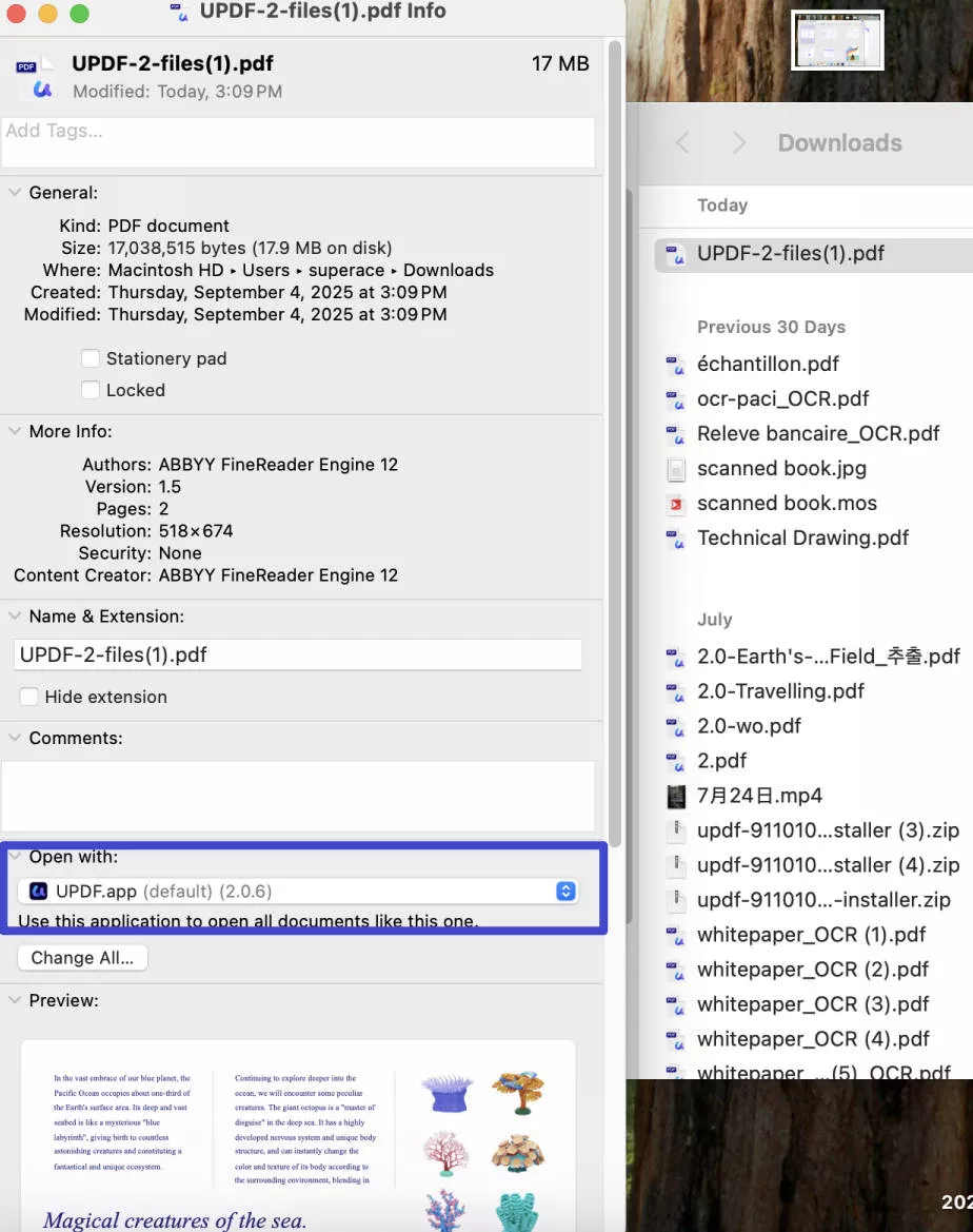 expand open with menu mac