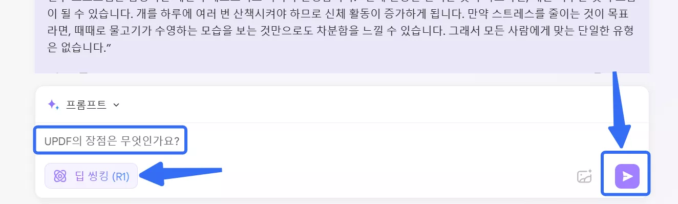 딥시크 R1 UPDF AI 온라인 사용을 위한 프롬프트 입력