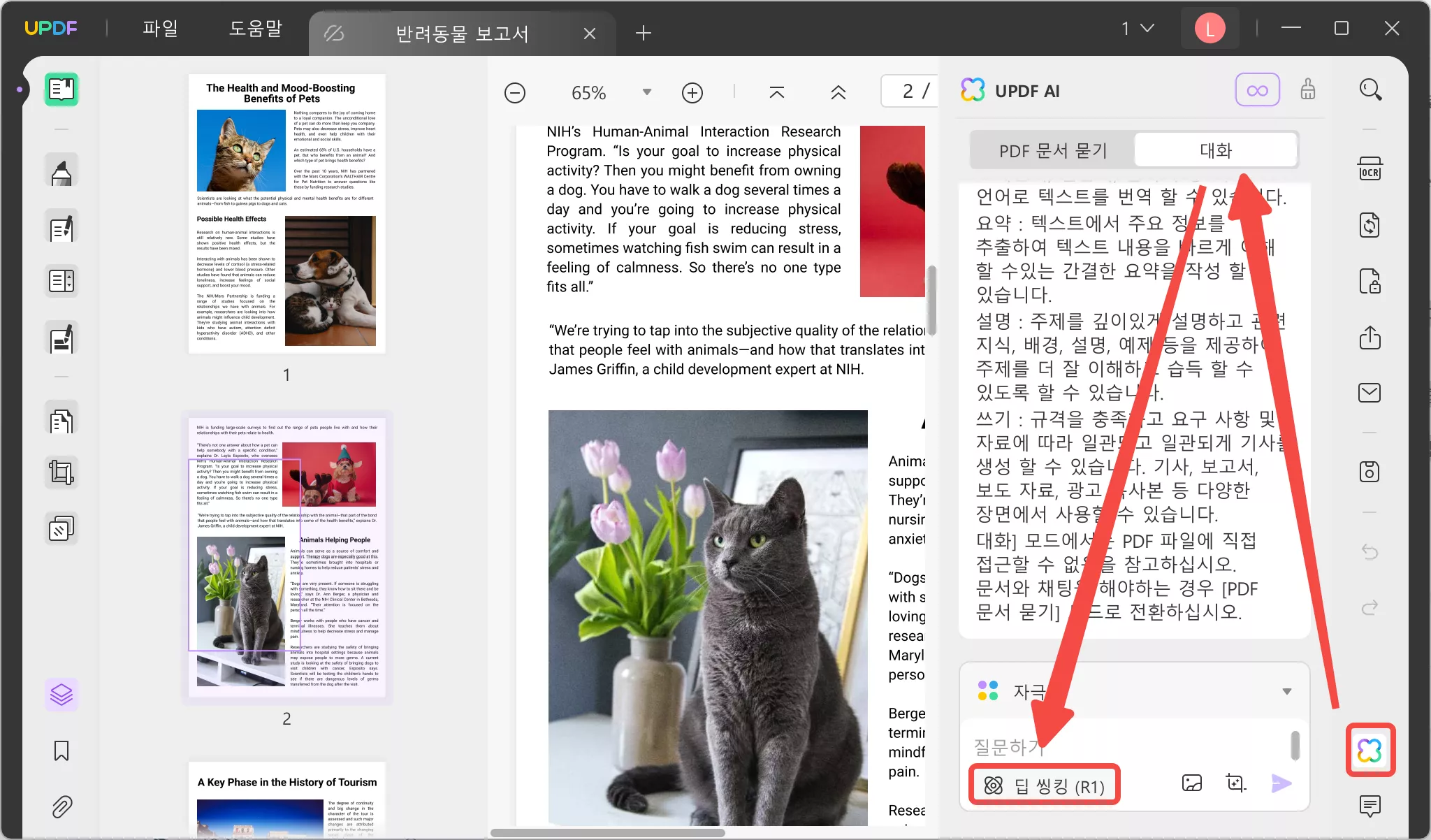 updf 데스크톱에서 deepseekr1 활성화하기