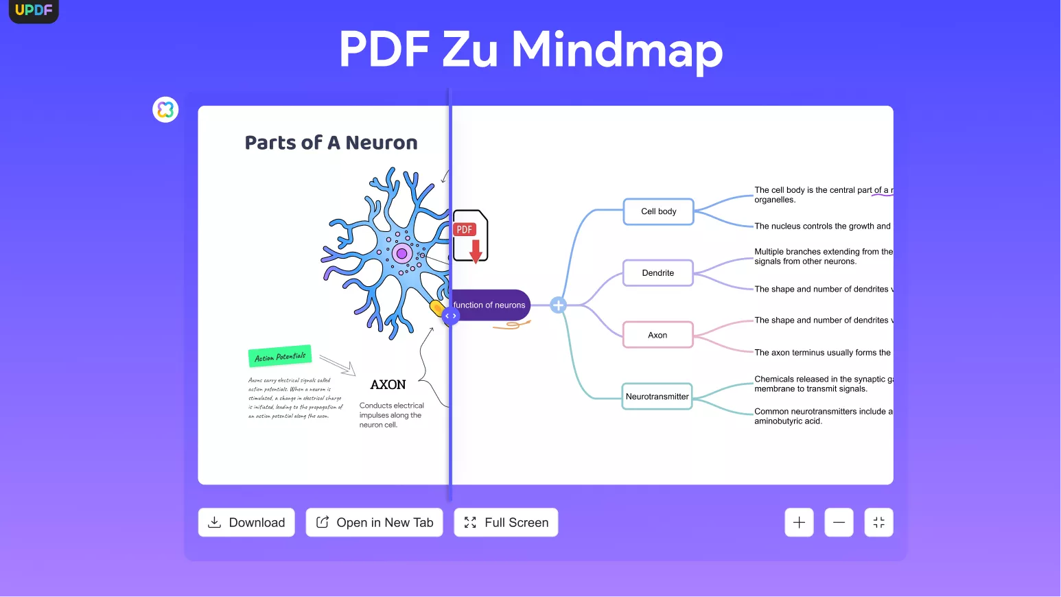 PDF zu Mind Map