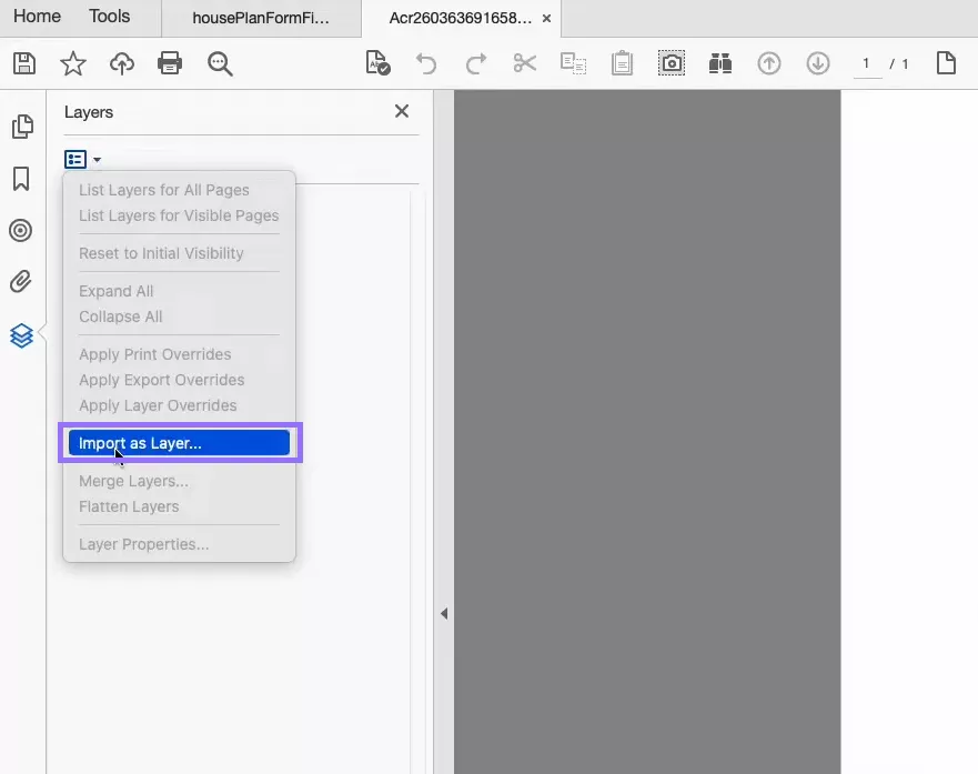import as a layer in acrobat