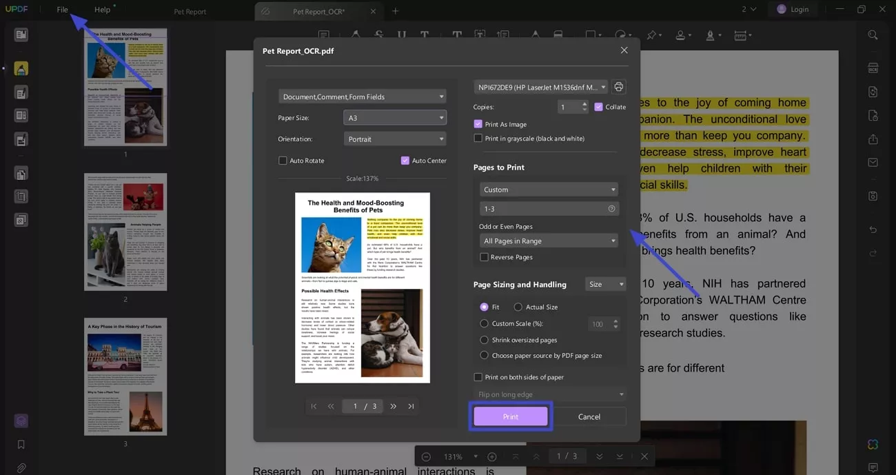 print converted pdf
